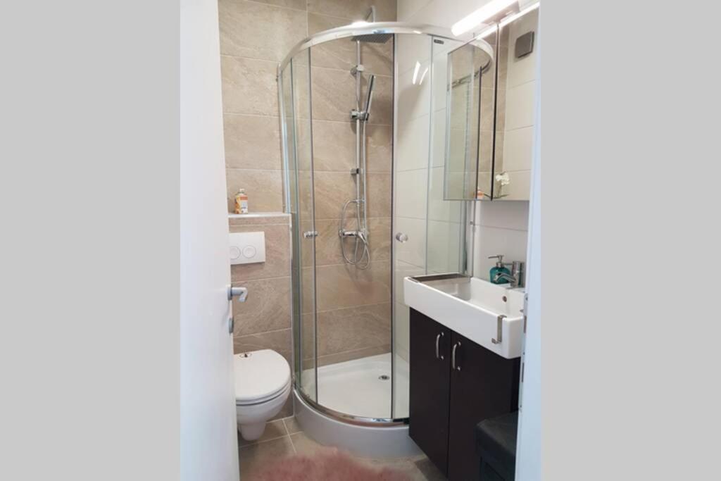 Living Home, Apartament Cu Doua Dormitoare Si Doua Bai Cisnadie Ngoại thất bức ảnh